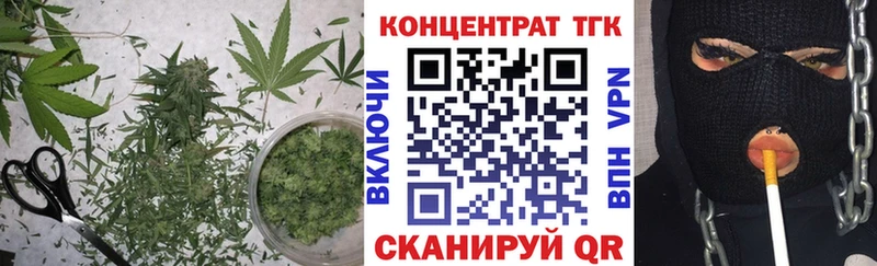 магазин продажи   Шелехов  ТГК концентрат 