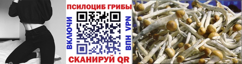 Галлюциногенные грибы Cubensis  Шелехов 